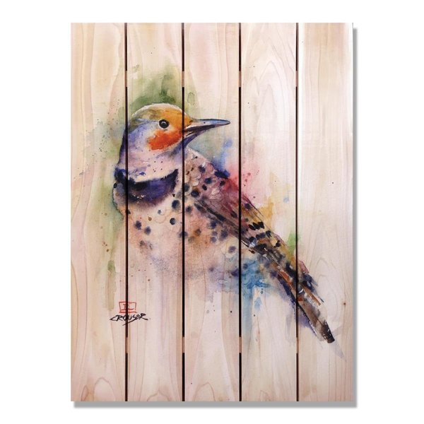 Ricki&Aposs Rugs 28 x 36 in. Crousers Colorful Bird Inside & Outside Cedar Wall Art RI890037